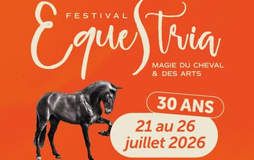 Festival Equestria