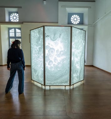 Déambulation musicale dans l'exposition "Le chant de l'eau"