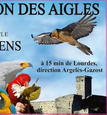 Découvrez le Donjon des Aigles