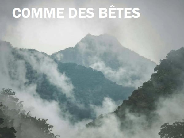 Comme des bêtes
